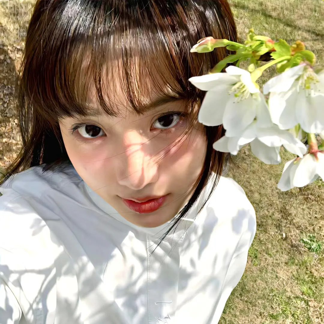 科搜研之女-剧场版- 封面